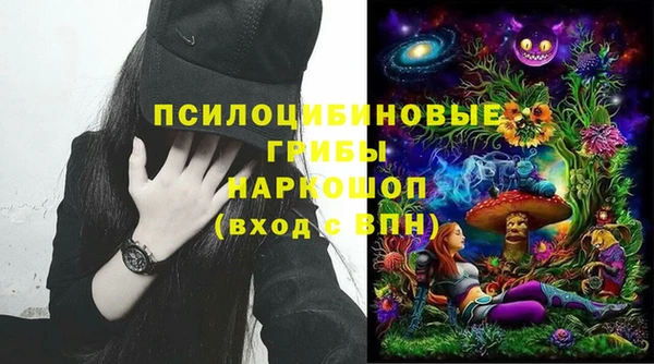 индика Липки