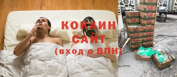 индика Липки