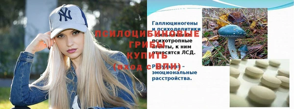 индика Липки