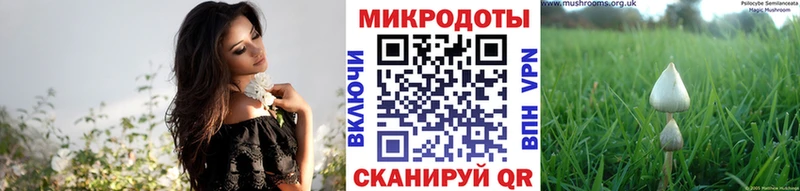 гидра вход  Сясьстрой  Псилоцибиновые грибы MAGIC MUSHROOMS 